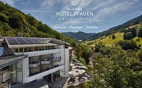 Elzland Hotel Pfauen Wellness & Spa