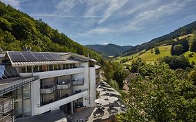 Elzland Hotel Pfauen Wellness & Spa